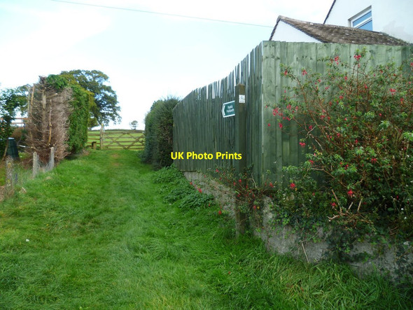Photo 6"x4" Orange Way in Devon and Torbay (106) Newton Abbot c2011