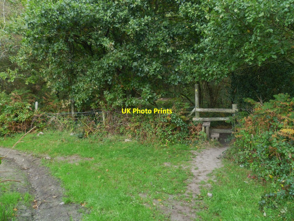 Photo 6"x4" Orange Way in Devon and Torbay (112) Newton Abbot c2011