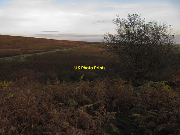 Photo 6"x4" Single track road along Ousegill Low Mill\/SE6795 c2011