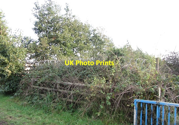 Photo 6"x4" Fortified scrub Bellshill\/NS7259 c2011