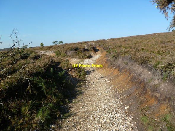 Photo 6"x4" Church Moor, track junction Burley Beacon c2011