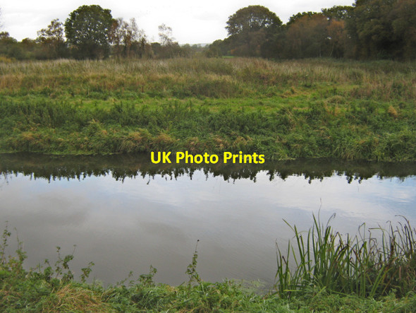 Photo 6"x4" The Glastonbury Canal and Shapwick Heath Ashcott Corner c2011