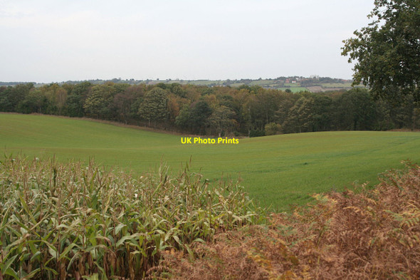 Photo 6"x4" Appleton Dale Blidworth Dale c2011