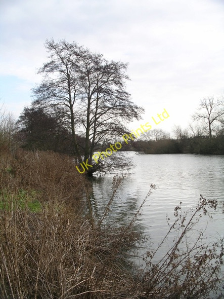 Photo 6"x4" The Thames near Abingdon Abingdon c2006