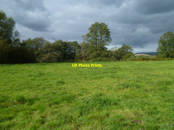 Photo 6"x4" Orange Way in Devon and Torbay (135) Preston\/SX8574 c2011