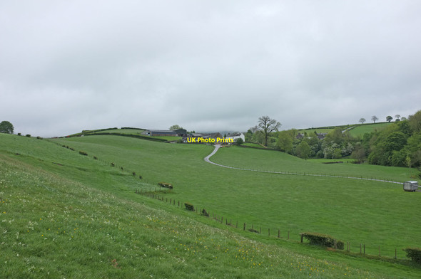 Photo 6"x4" Pasture SW of Thursgill Grayrigg c2011