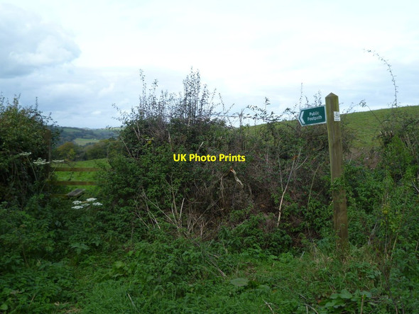 Photo 6"x4" Orange Way in Devon and Torbay (145) Gappah c2011