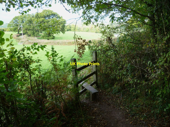 Photo 6"x4" Orange Way in Devon and Torbay (149) Gappah c2011