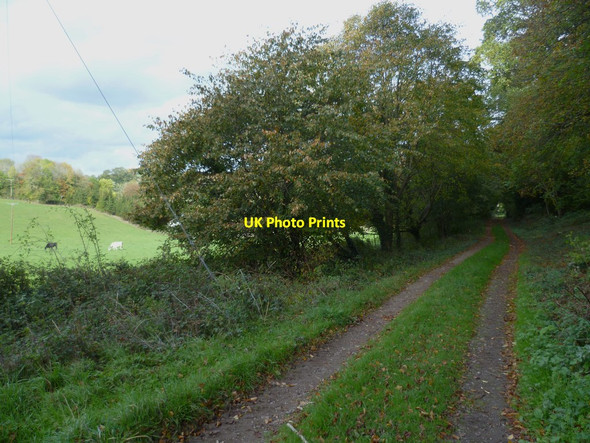 Photo 6"x4" Orange Way in Devon and Torbay (151) Chudleigh c2011