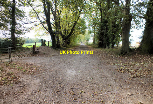 Photo 6"x4" Junction on the Drove Burcombe\/SU0730 c2011