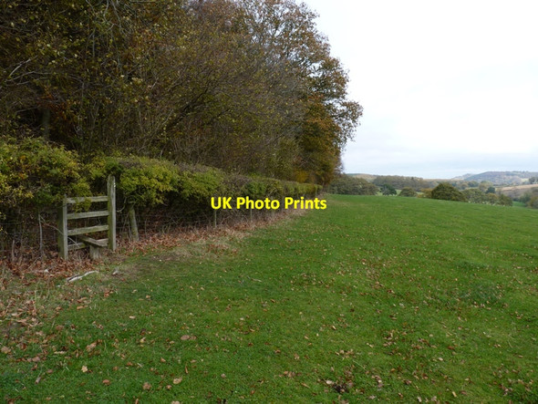 Photo 6"x4" Footpath and a stile into Newhall Coppice Middlehope c2011