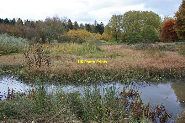Photo 6"x4" View East over Sata Pond Ganthorpe c2011