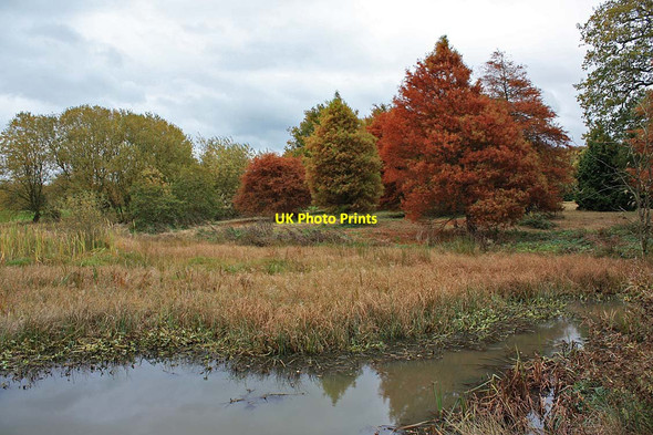 Photo 6"x4" Autumn colour by Sata Pond Ganthorpe c2011