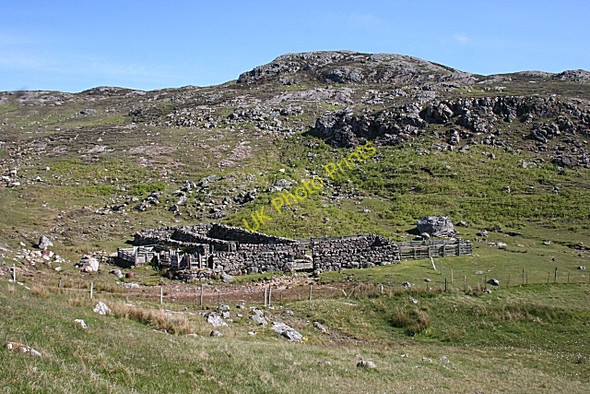 Photo 6"x4" Sheep Fank Achriesgill c2008