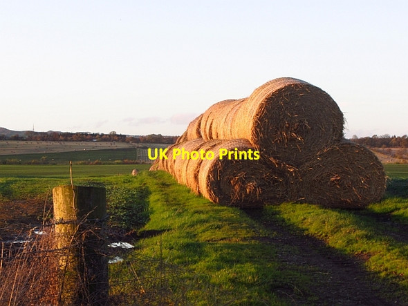 Photo 6"x4" Round bales, Gavieside Polbeth c2011