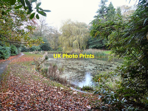 Photo 6"x4" Pole Bank Pond Hyde\/SJ9494 c2011