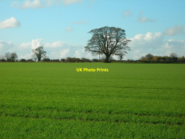Photo 6"x4" Field by Newington Barn Lasborough c2011