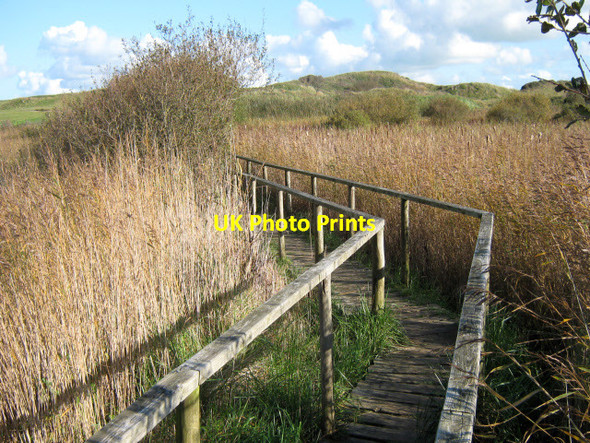 Photo 6"x4" Walkway across reed beds, Burnham Dunes Burnham-on-Sea c2011