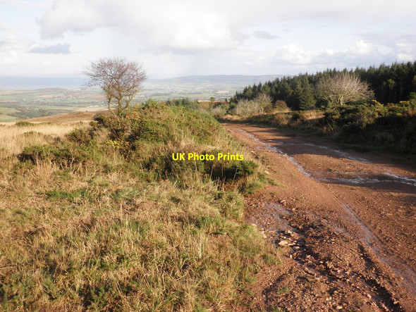 Photo 6"x4" Track, on Withycombe Common Rodhuish c2011
