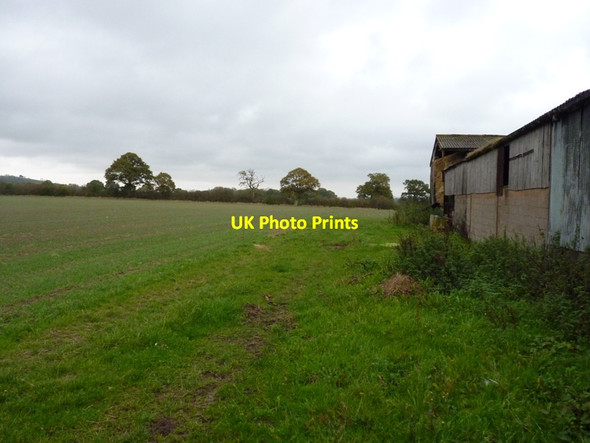 Photo 6"x4" Footpath past the back of The Saplings Eaton\/SO5090 c2011