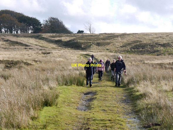 Photo 6"x4" Northern end of the Old Coach Road Edlingham c2011