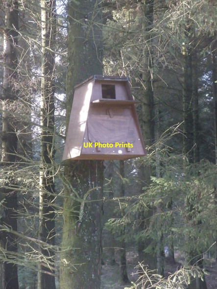 Photo 6"x4" Owl nesting box, Withypool Common Churchtown\/SS9738 c2011