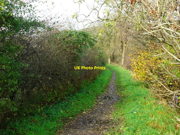 Photo 6"x4" Balcorrach, riverside path Balgrochan\/NS6278 c2011