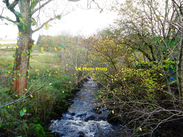 Photo 6"x4" Clachan of Campsie, Kirk Burn Clachan of Campsie c2011