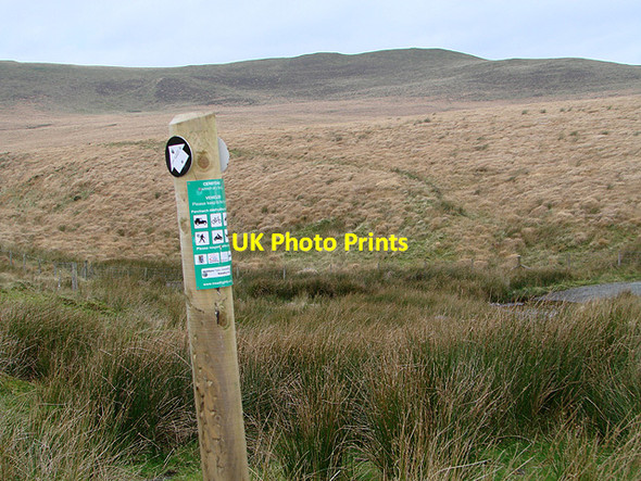 Photo 6"x4" Waymarker near Bwlchystyllen Cwmsymlog c2011
