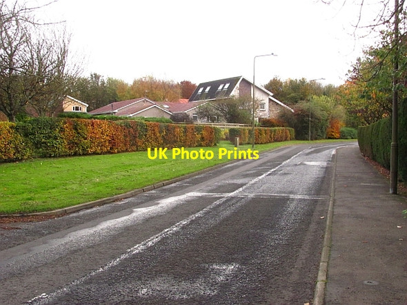 Photo 6"x4" Murieston Road Dedridge c2011