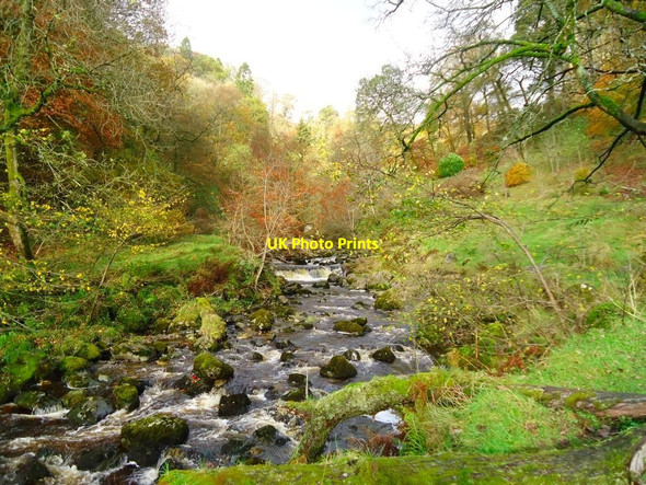 Photo 6"x4" Campsie Glen, Lady's Linn [2] Clachan of Campsie c2011