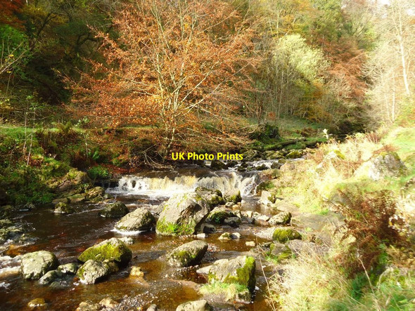 Photo 6"x4" Campsie Glen, Lady's Linn [3] Clachan of Campsie c2011