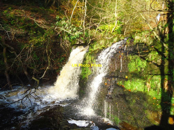 Photo 6"x4" Campsie Glen, James' Linn Clachan of Campsie c2011