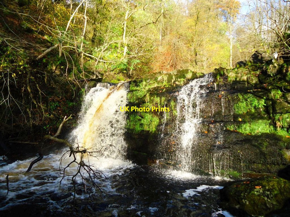 Photo 6"x4" Campsie Glen, James' Linn [2] Clachan of Campsie c2011