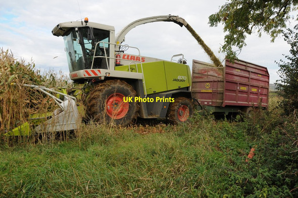 Photo 6"x4" Maize harvesting near King's Stanley King's Stanley c2011