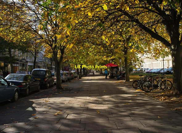Photo 6"x4" The Promenade in Autumn Cheltenham c2011