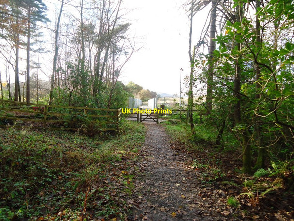 Photo 6"x4" Mugdock Reservoir, woodland walk Milngavie c2011