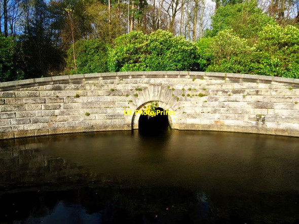 Photo 6"x4" Mugdock Reservoir [6] Milngavie c2011
