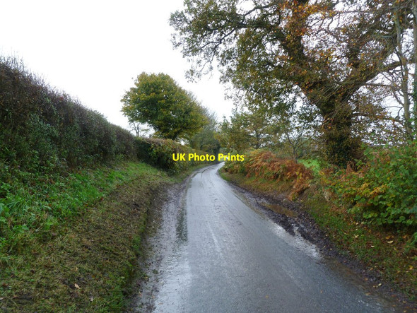Photo 6"x4" Maiden Bradley, country road Maiden Bradley c2011