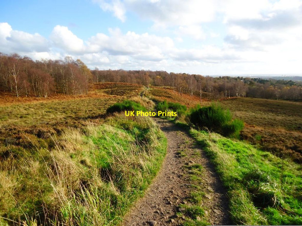 Photo 6"x4" Drumclog Muir [4] Milngavie c2011