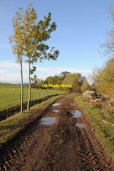 Photo 6"x4" Track near Hillworth Farm Longdon\/SO8336 c2011