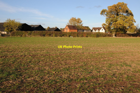 Photo 6"x4" Cowhills Farm, Longdon Heath Duckswich c2011