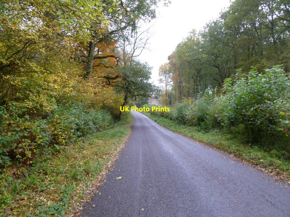 Photo 6"x4" Maiden Bradley, Forest Road Gare Hill c2011