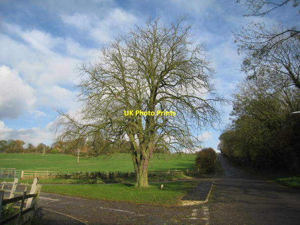Photo 6"x4" View up Hanover Hill Glentworth c2011
