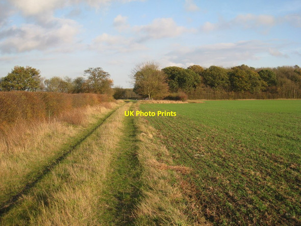 Photo 6"x4" Farm track to Cow Lane Coates\/SK9183 c2011