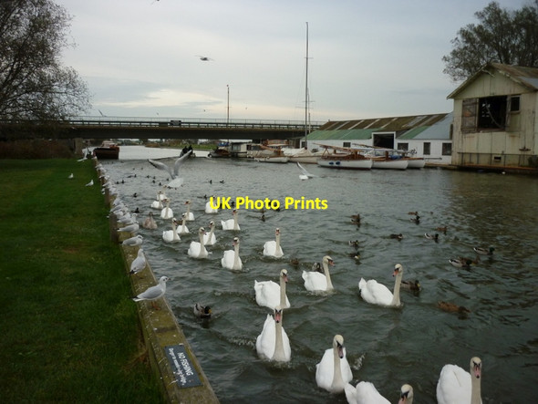 Photo 6"x4" The River Thurne Bastwick c2011
