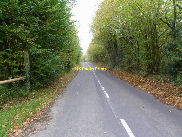 Photo 6"x4" Boveridge, Cranborne Road Boveridge c2011