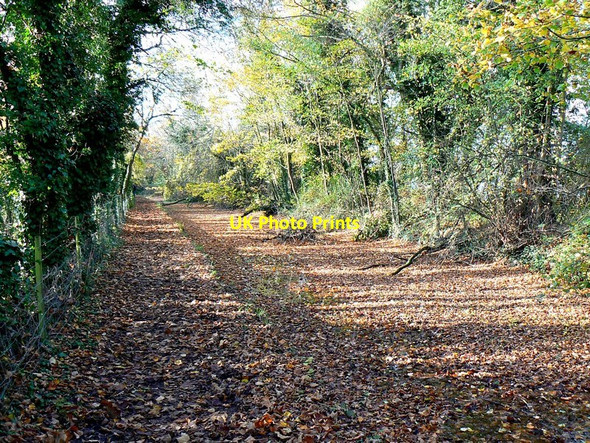 Photo 6"x4" West along the Thames west of Ashton Keynes Ashton Keynes c2011