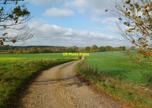 Photo 6"x4" Damerham, farm road Crendell c2011