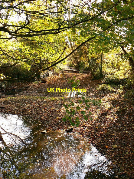 Photo 6"x4" Not the Thames, near Ashton Keynes Ashton Keynes c2011